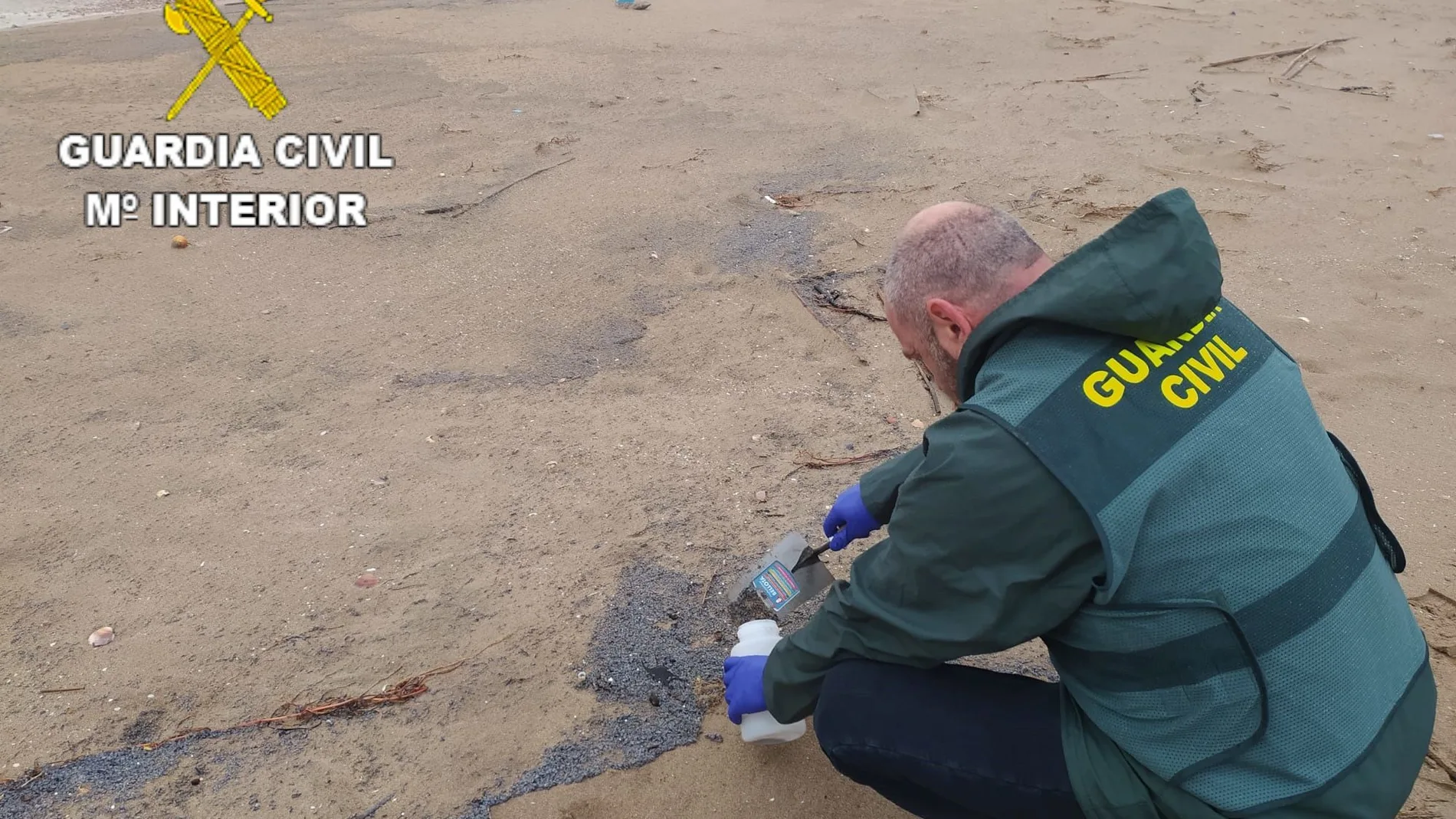 Un guardia civil recoge muestras en la arena de El Saler