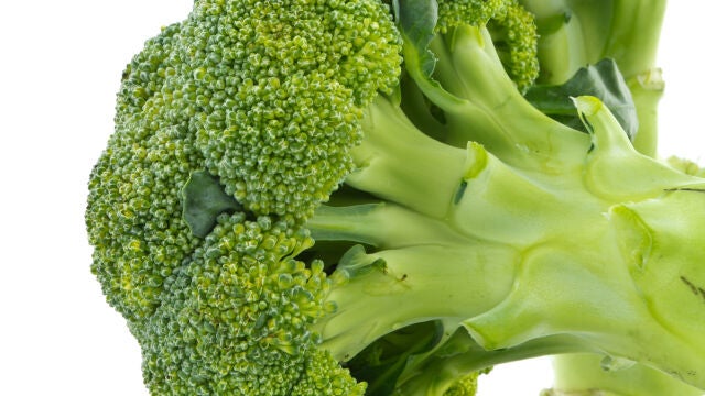 Brócoli