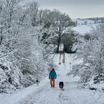 Imagen de archivo de un hombre con sus perros paseando por Vitoria 