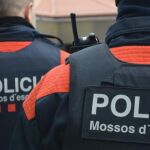 Los Mossos de Tarragona se hicieron cargo de la investigación