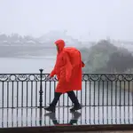 Una persona cruza un puente en Sevilla este viernes bajo la lluvia