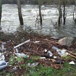 Basura acumulada en un entorno natural de Ponferrada