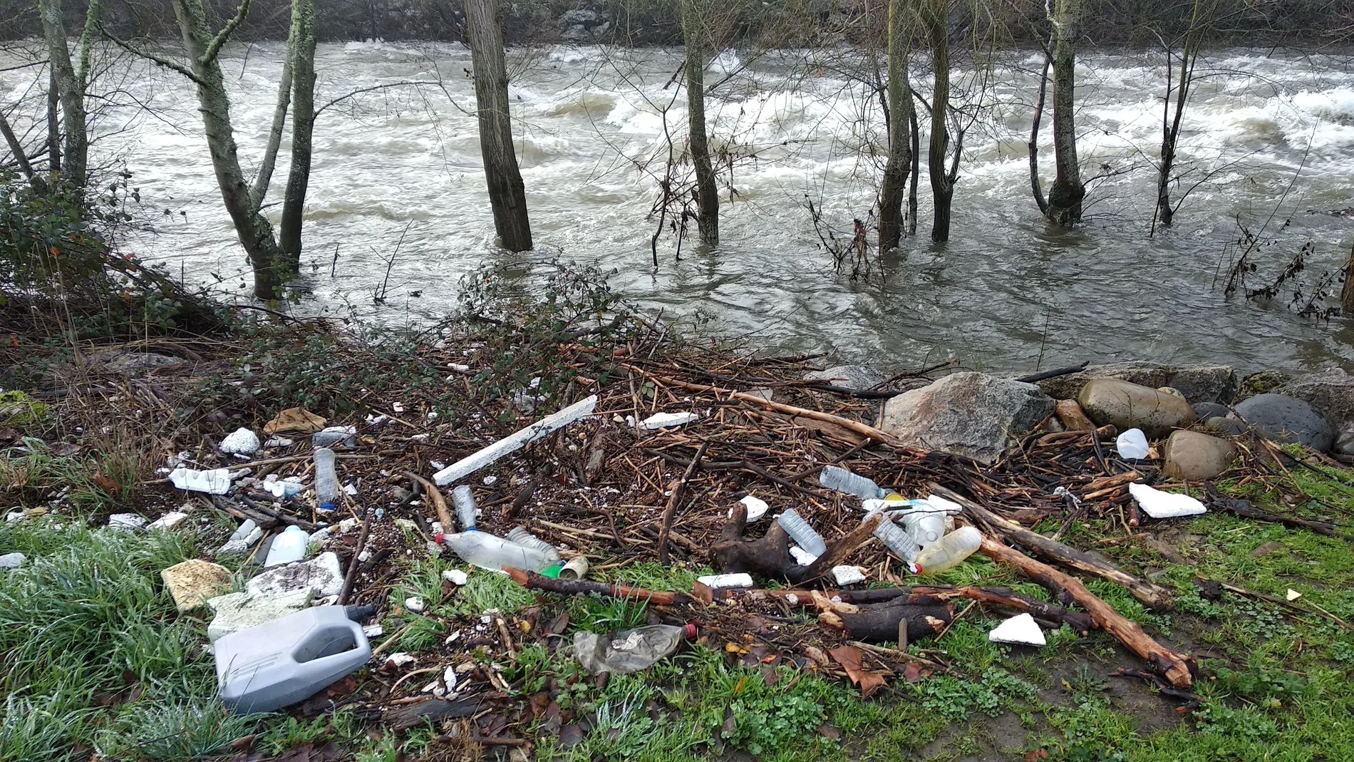 Basura acumulada en un entorno natural de Ponferrada