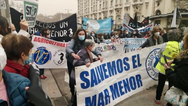 Los miembros del Pacto Por el Mar Menor celebran en la puerta del Congreso el apoyo a la defensa de la ILP Personalidad Jurídica