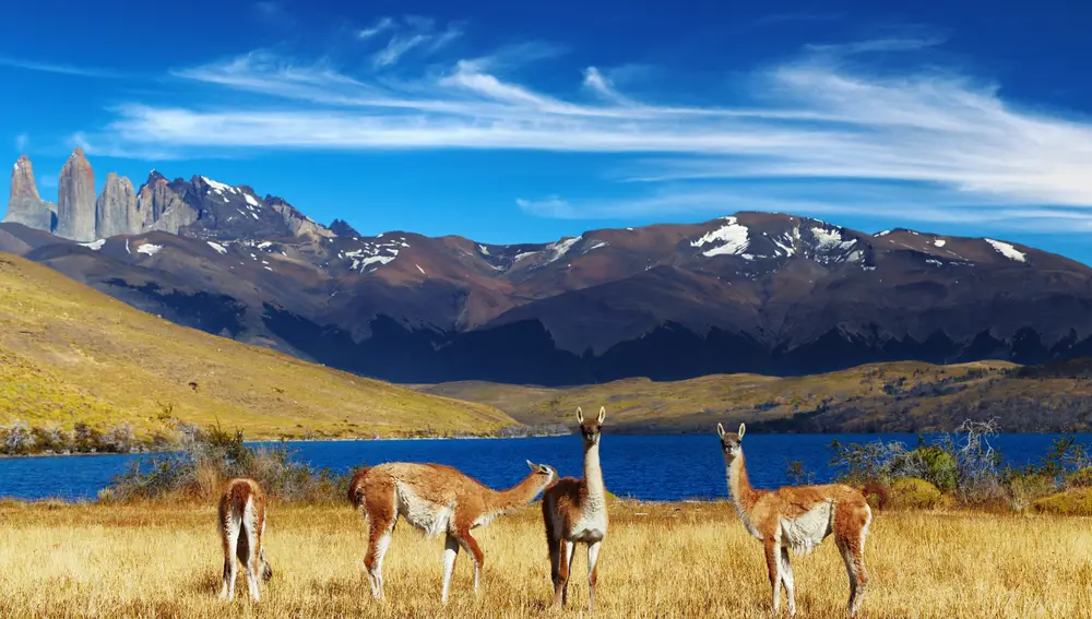 La naturaleza se adueña del paisaje en Torres del Paine