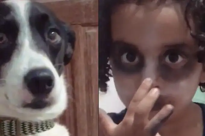 El tierno vídeo de una niña que se maquilla para parecerse a su perro