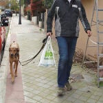 Luis Medina pasea a su perro, a 08 de abril de 2022, en Madrid (España).
