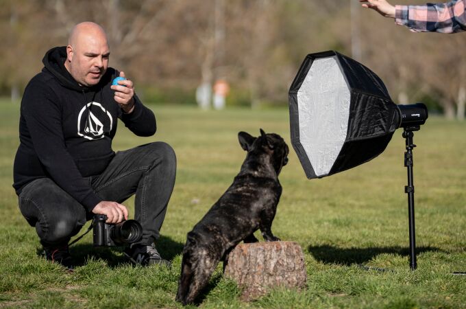 Emilio Cuenca, el fotografo de perros, durante una de sus sesiones