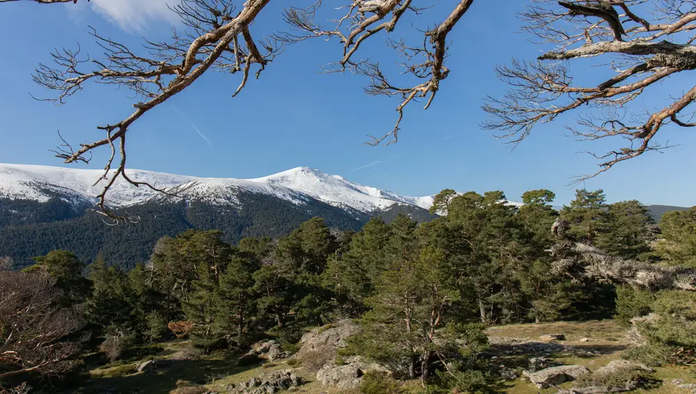 Sierra de Madrid