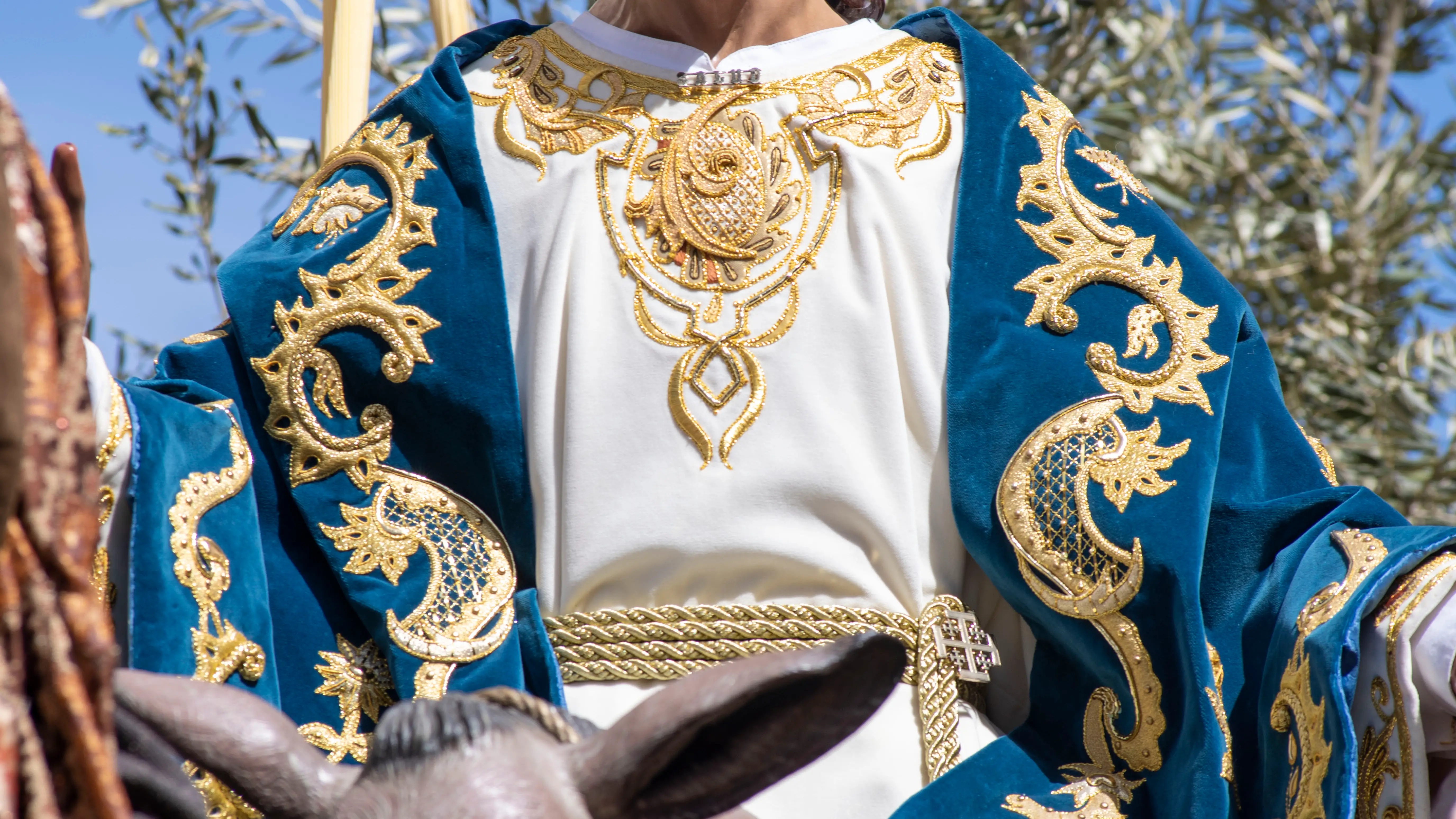 Procesión de la Real, Ilustre y Fervorosa Hermandad Franciscana y Cofradía de Nazarenos de Nuestro Padre Jesús de la Salud entrando en Jerusalén (La Borriquilla) en el primer día de la Semana Santa de Jaén. EFE/José Manuel Pedrosa.