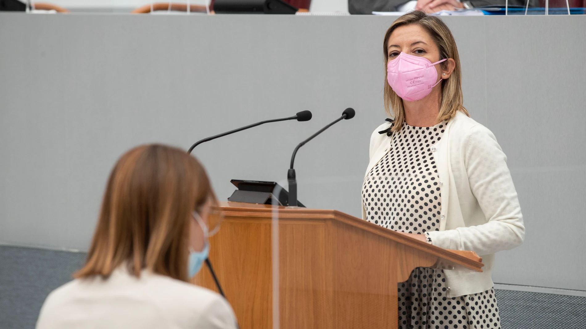 La diputada regional María Dolores Valcárcel