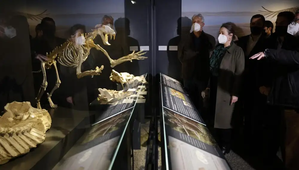 La consejera de Cultura, el día que se inauguró la nueva sala de paleontología en el Museo Arqueológico Regional