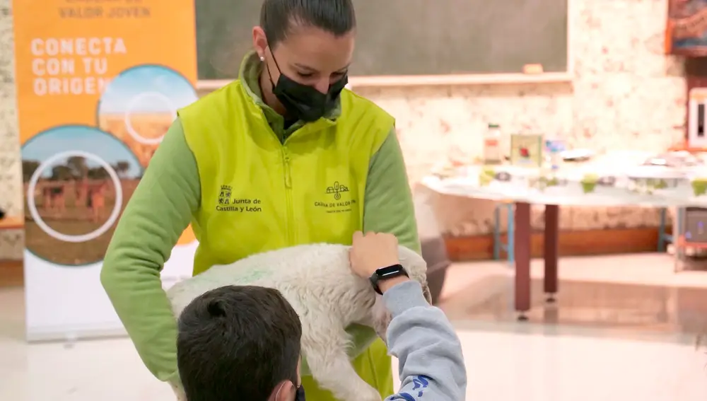 Programa &quot;Cadena de valor joven&quot;, destinado a alumnos de ESO y Bachillerato de Castilla y León para mejorar la imagen del mundo rural dando a conocer la cadena de valor alimentaria, los agentes que la componen y la importancia del equilibrio de las relaciones comerciales entre ellos