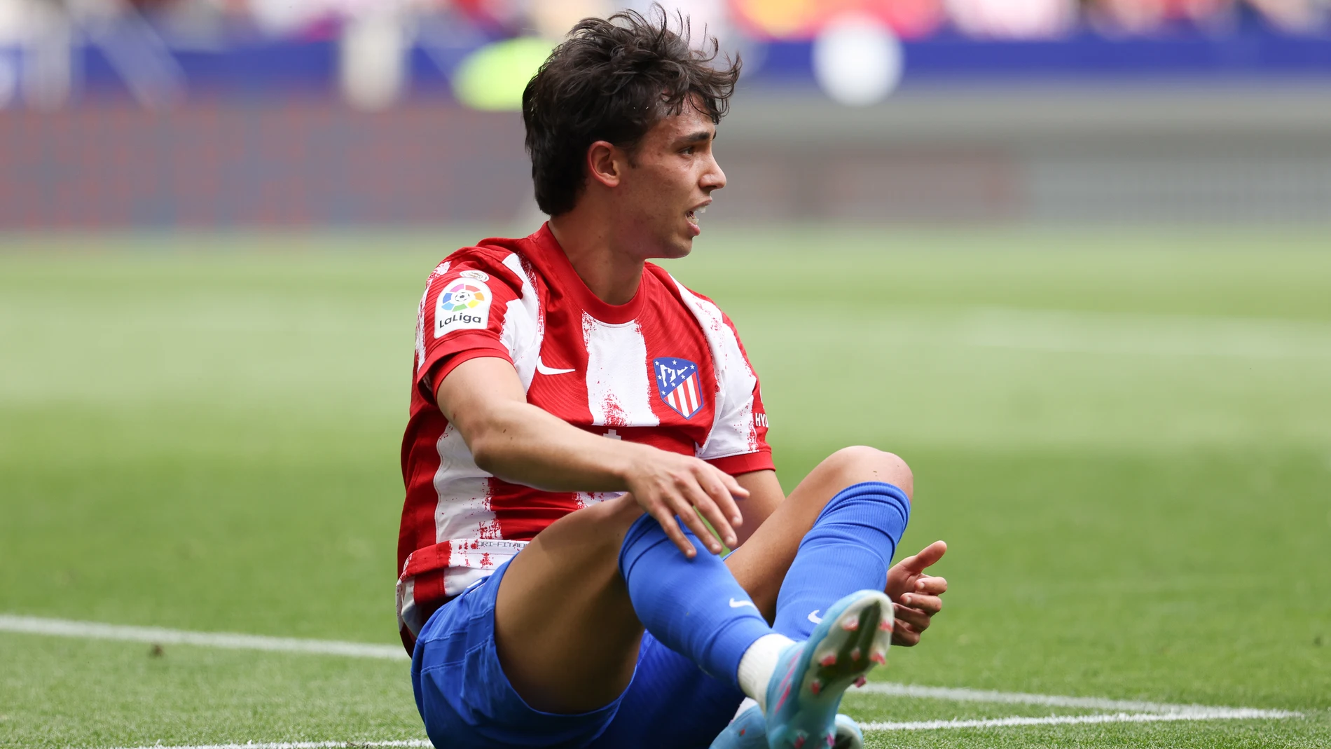 Joao Félix no volverá a jugar en este curso