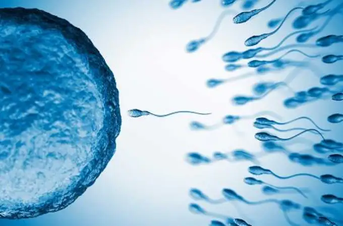 La calidad del esperma de los varones cae en picado en todo el mundo