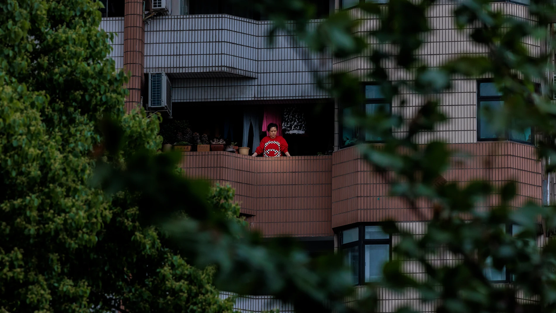 Una mujer se asoma al balcón de su vivienda en un barrio residencial de Shanghái clausurado por la covid