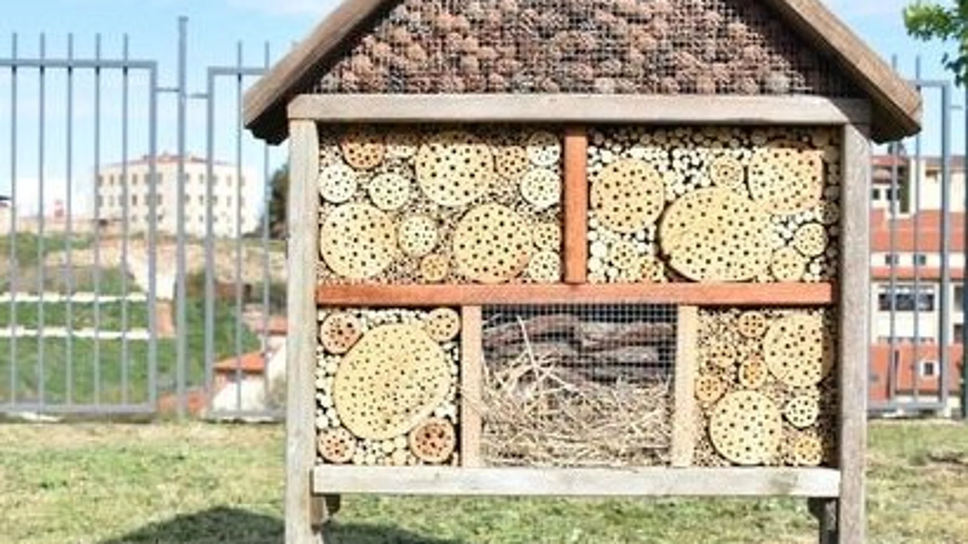 Hotel para insectos en Salamanca