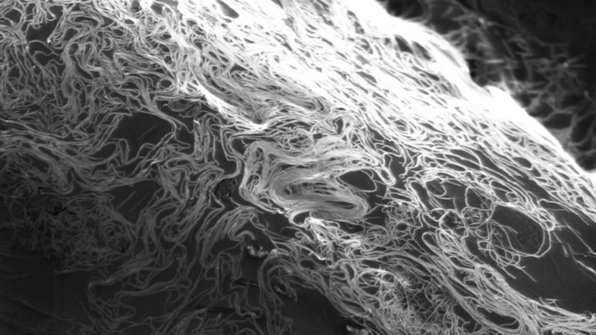 Nanotubos de carbono desordenados como si se tratase de un plato de espaguetis