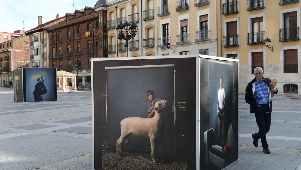 II edición del Festival Internacional de Fotografía de Castilla y León-Ciudad de Palencia. Obras expuestas en la plaza de la Inmaculada