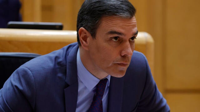 El presidente del Gobierno, Pedro Sánchez, durante la sesión de control del Senado