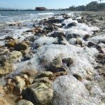 El IEO alerta del riesgo de un nuevo episodio de anoxia en el Mar Menor por el estado de  eutrofización de la laguna