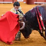 SEVILLA, 27/04/2022.- El torero español José Garrido con su segundo toro de la tarde, al que ha cortado una oreja, este miércoles en la Plaza de La Maestranza de Sevilla. EFE/ Raúl Caro