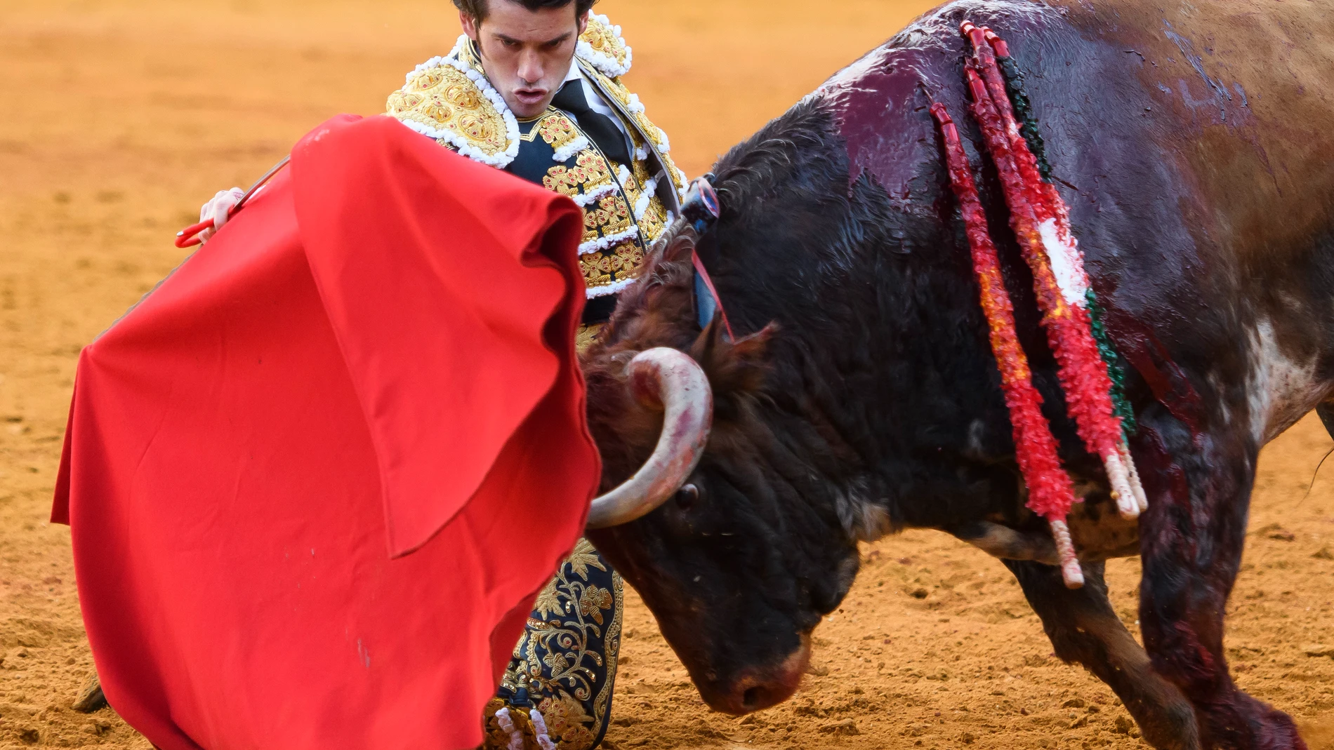 SEVILLA, 27/04/2022.- El torero español José Garrido con su segundo toro de la tarde, al que ha cortado una oreja, este miércoles en la Plaza de La Maestranza de Sevilla. EFE/ Raúl Caro
