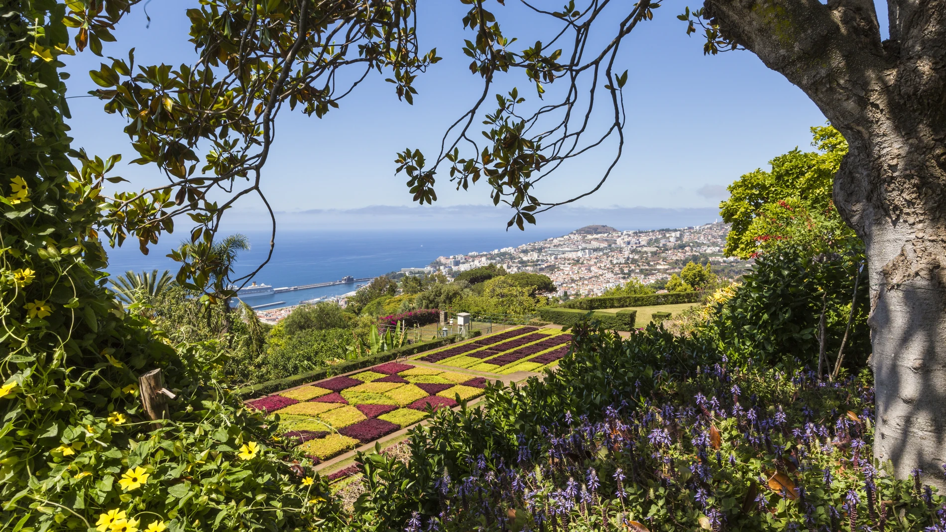 La naturaleza en estado puro es la seña de identidad de Madeira