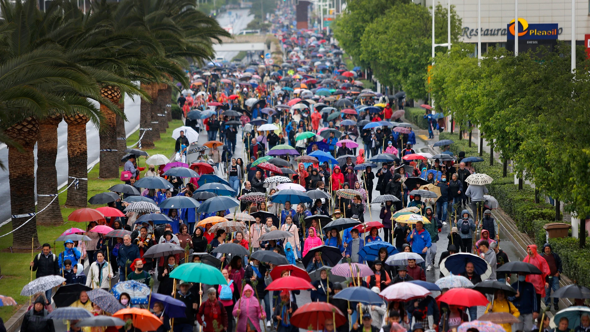 Miles de peregrinos caminan desde poco después de las 8 horas bajo una ligera lluvia entre el centro de Alicante y el monasterio de la Santa Faz tres años después de la última ocasión, ya que, debido a la pandemia, no se había podido celebrar desde el 2 de mayo de 2019