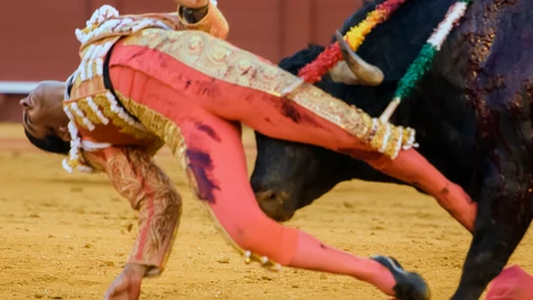 SEVILLA, 30/04/2022.- El diestro Miguel Ángel Perera es cogido por su tercer toro de la tarde en un mano a mano con Antonio Ferrera en la Plaza de La Maestranza de Sevilla. EFE/ Raúl Caro.