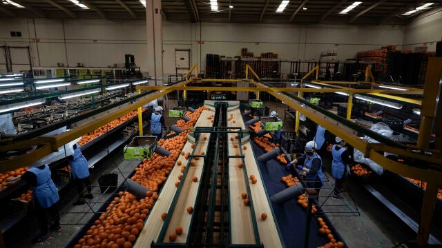 La industria agroalimentaria es uno de los motores de Andalucía. EFE/Rafa Alcaide