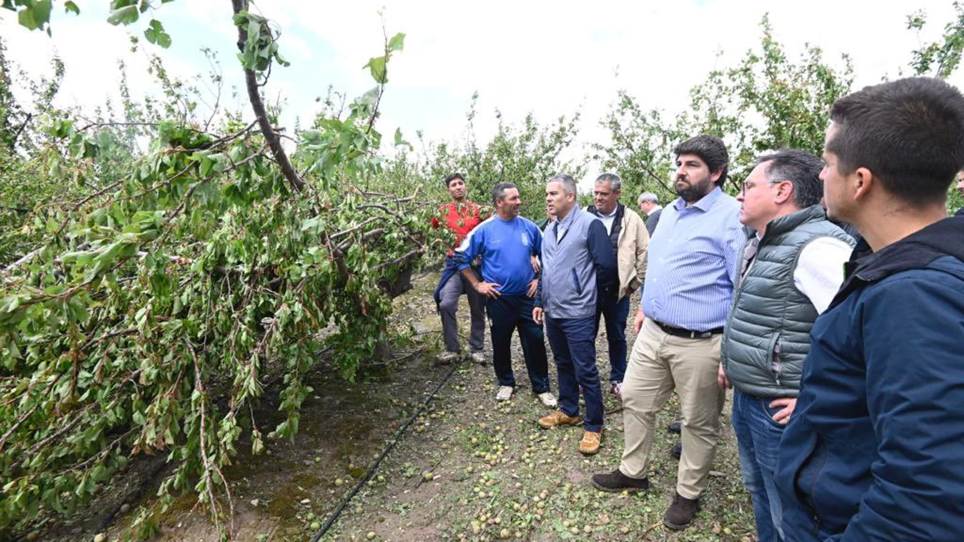 El presidente de la Región de Murcia, Fernando López Miras, ha comprobado cómo el granizo ha provocado daños muy graves, especialmente en la comarca del Río Mula.