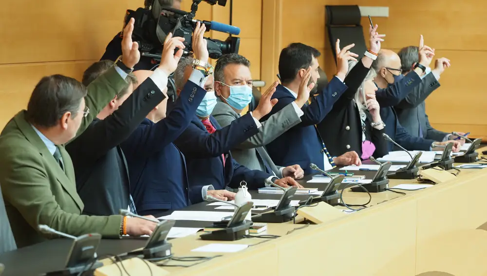 Constitución de las comisiones legislativas y no legislativas de las Cortes de Castilla y León