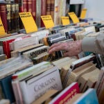 Feria del Libro Antiguo en el Paseo de Recoletos