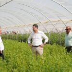 Juanma Moreno, este viernes durante su visita a la cooperativa de segundo grado Onubafruit