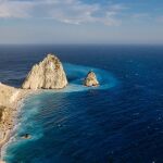 Mas de 5.500 nuevas especies de virus de ARN son descubiertas en el mar