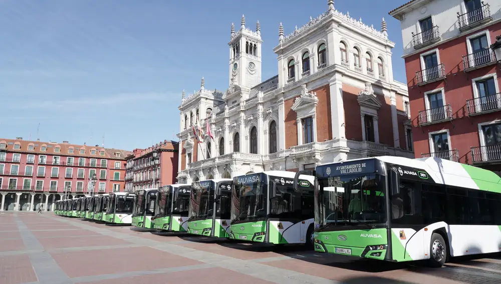 Los quince nuevos autobuses que se mueven con gas comprimido, en la Plaza Mayor de Valladolid