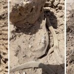 Restos humanos hallados en el fondo del Lago Mead aun sin identificar