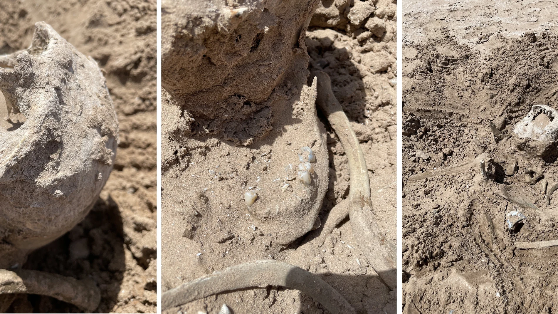 Restos humanos hallados en el fondo del Lago Mead aun sin identificar