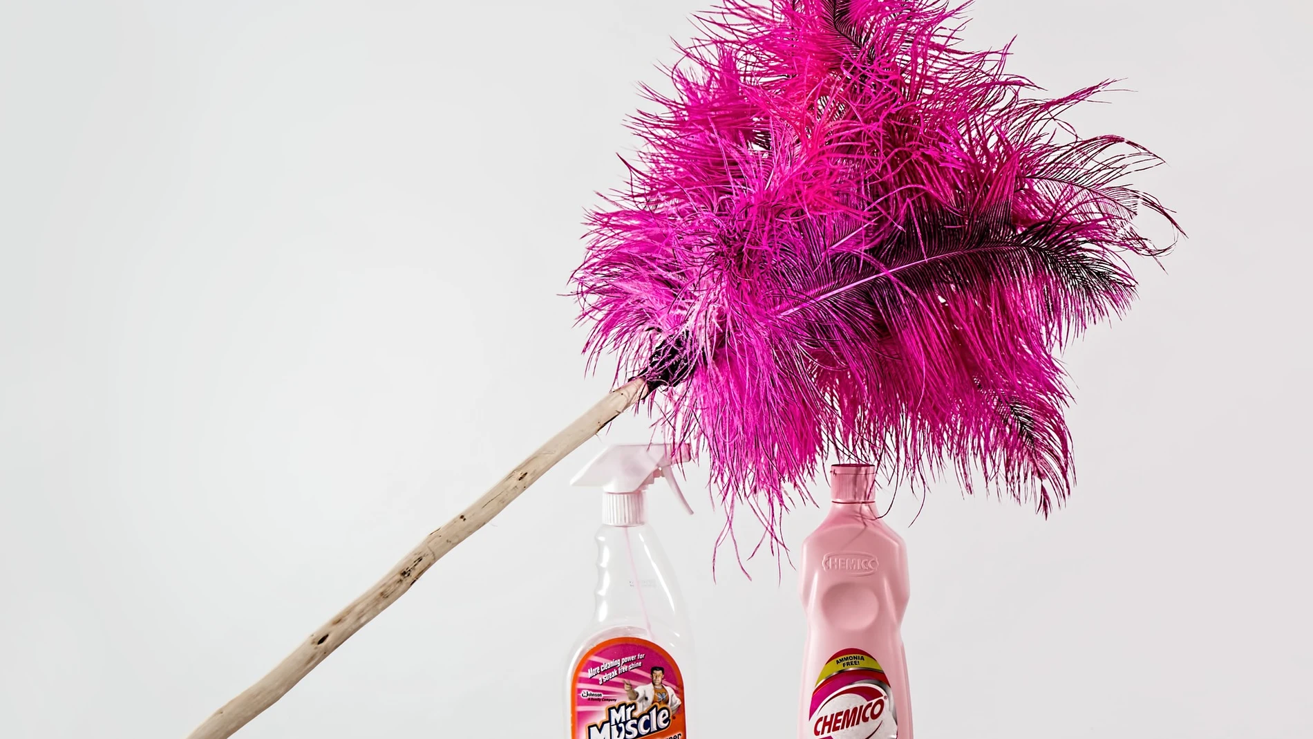 Cómo eliminar los ácaros de tu hogar con un spray casero