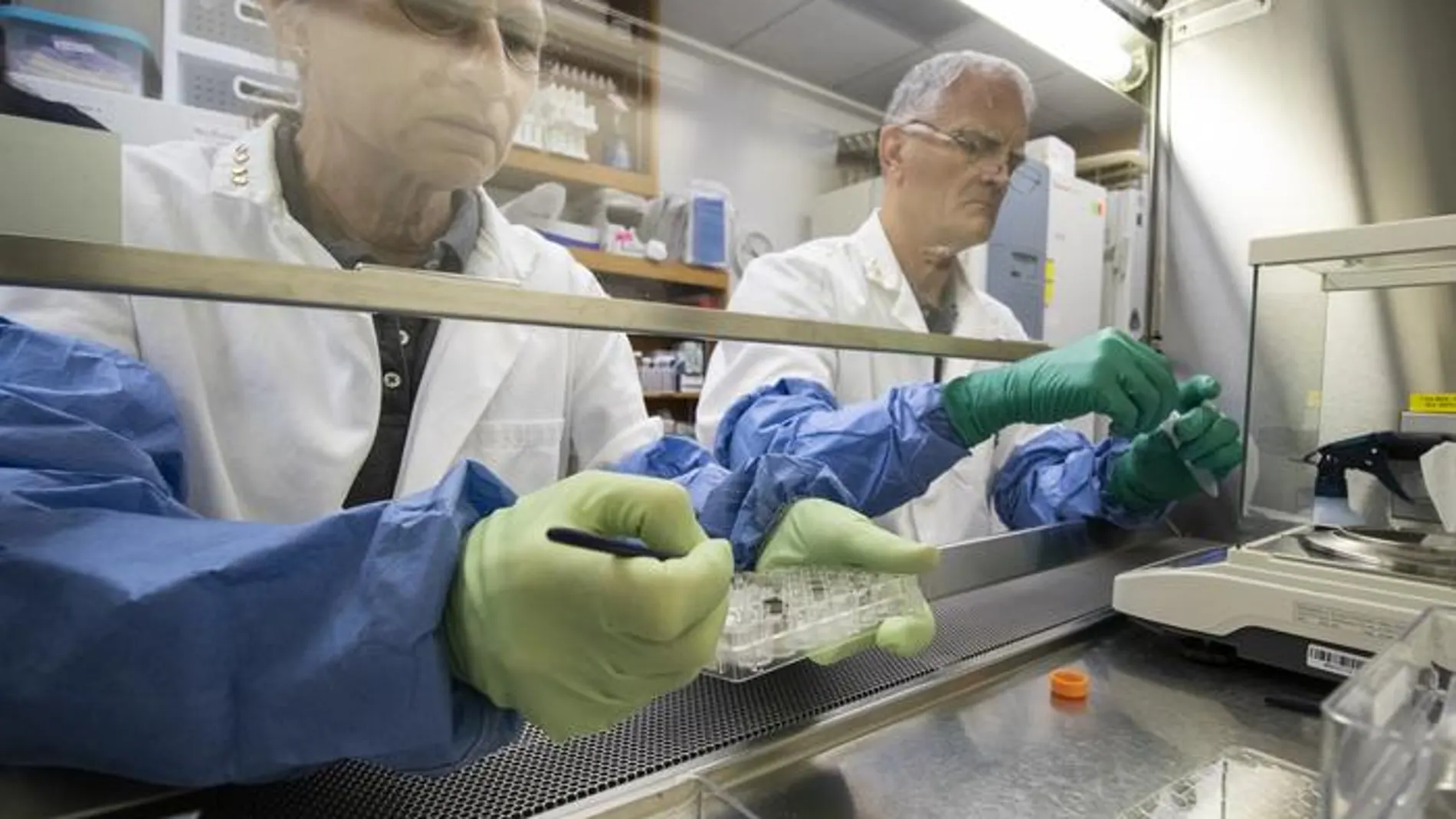 Los líderes del experimento, cultivando por primera vez en suelo lunar.