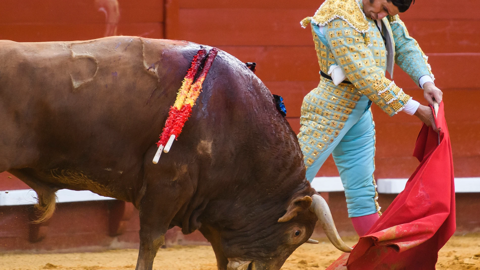 El diestro Morante de la Puebla