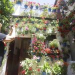 Una mujer fotografía el patio de la calle Tinte, 9 que ha vuelto a ganar el primer premio en la modalidad de arquitectura antigua diecisiete años después de lograrlo por primera vez en 2005