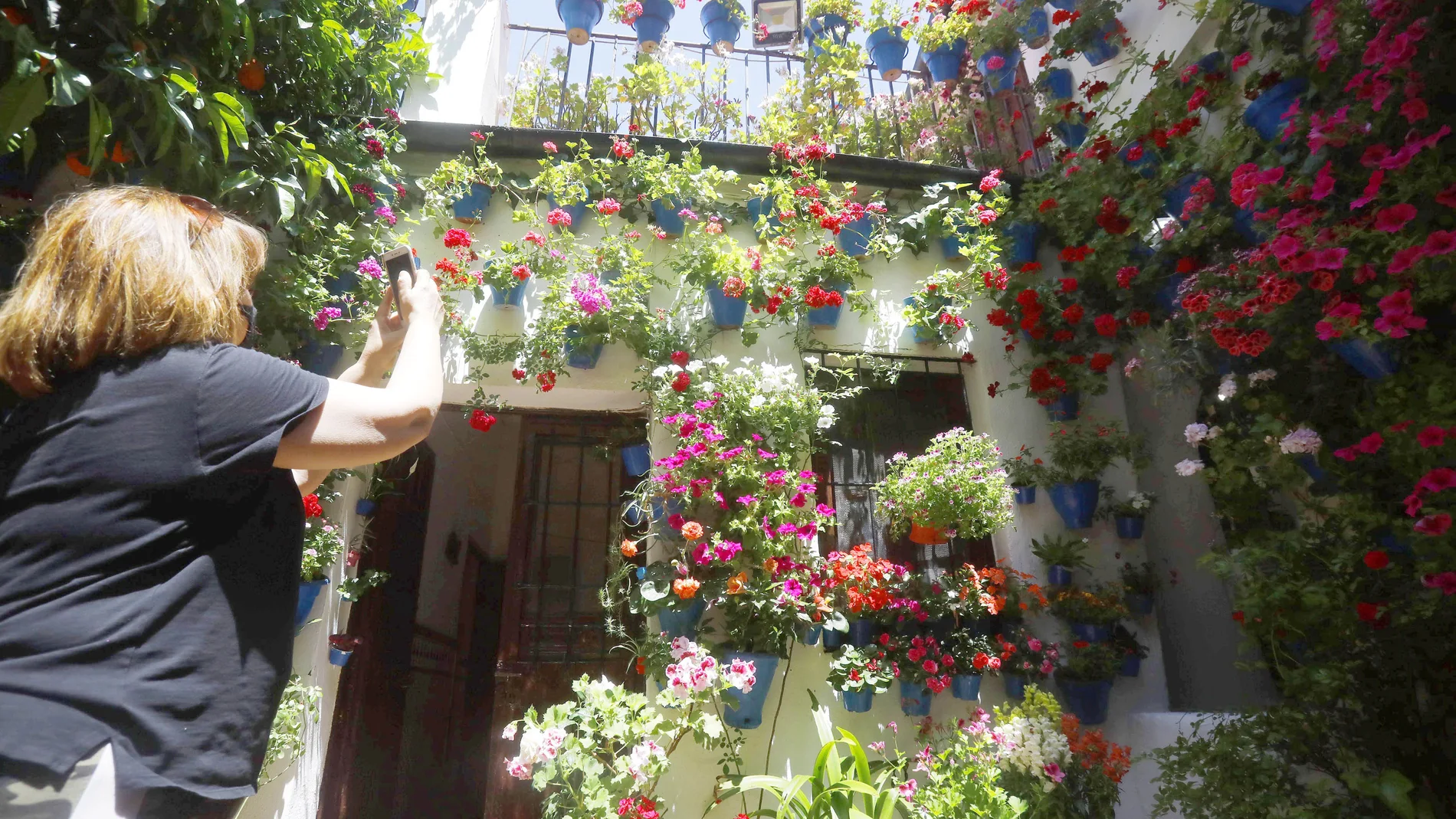 Una mujer fotografía el patio de la calle Tinte, 9 que ha vuelto a ganar el primer premio en la modalidad de arquitectura antigua diecisiete años después de lograrlo por primera vez en 2005