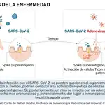 Infografía donde se explica el mecanismo por el que se podría producir la hepatitis aguda grave a partir de la infección con SARS-Cov-2