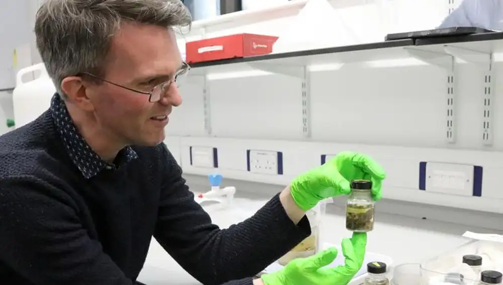 Jack Ashby, director adjunto del Museo Universitario de Zoología, sostiene un espécimen de Caldwell recién descubierto