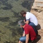 Imagen del Mar Menor, donde esta semana aparecieron peces muertos