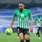 Borja Iglesias, delantero del Betis. AFP7