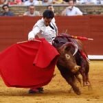 CÓRDOBA, 21/05/2022.- El diestro Lagartijo durante su faena en la corrida de toros de la Feria de Córdoba este sábado. EFE/ Salas
