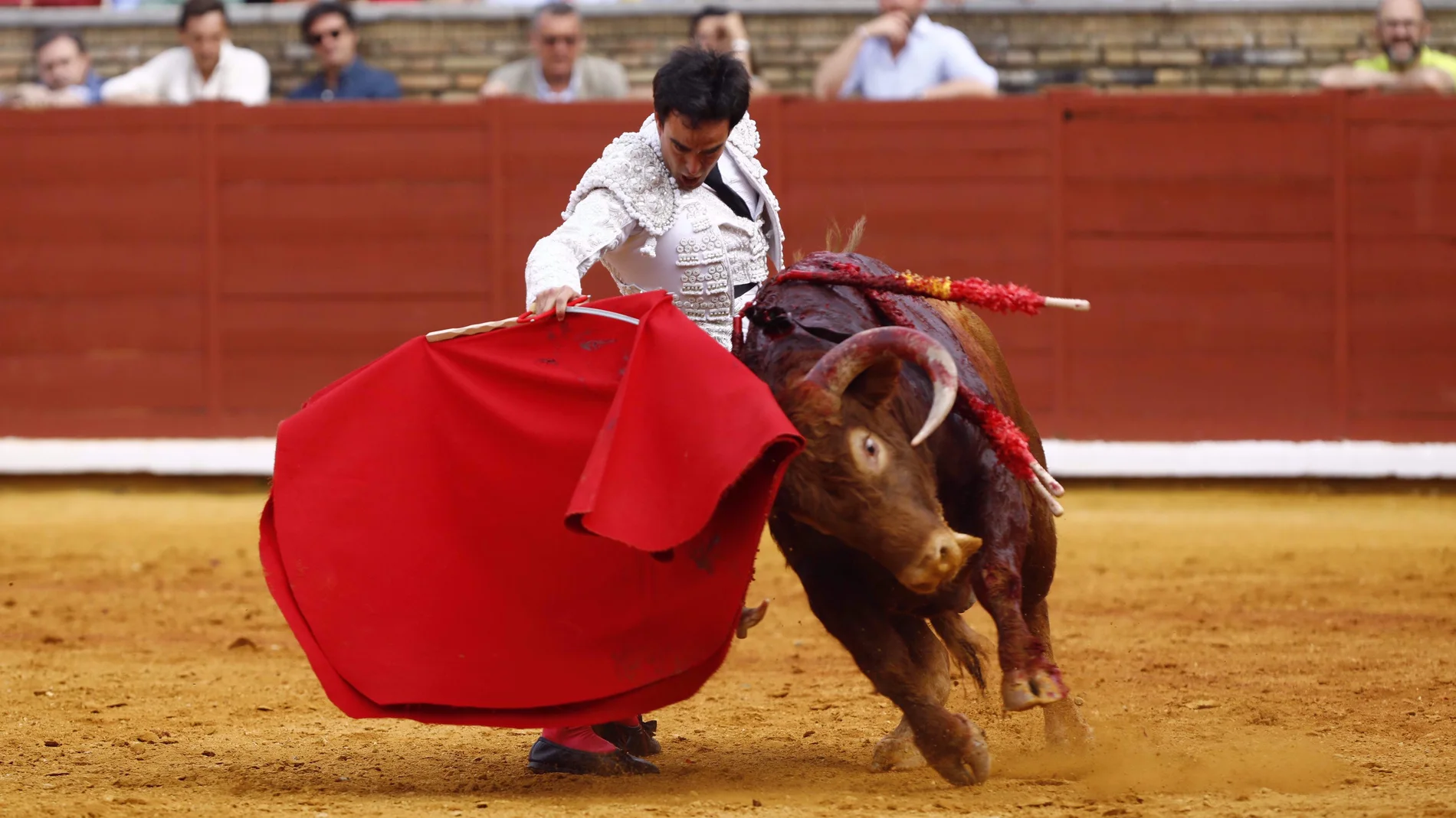 CÓRDOBA, 21/05/2022.- El diestro Lagartijo durante su faena en la corrida de toros de la Feria de Córdoba este sábado. EFE/ Salas